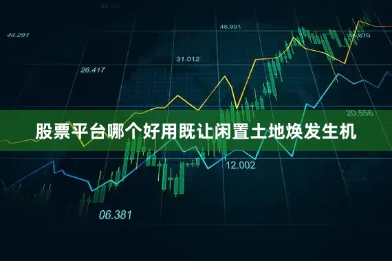 股票平台哪个好用既让闲置土地焕发生机